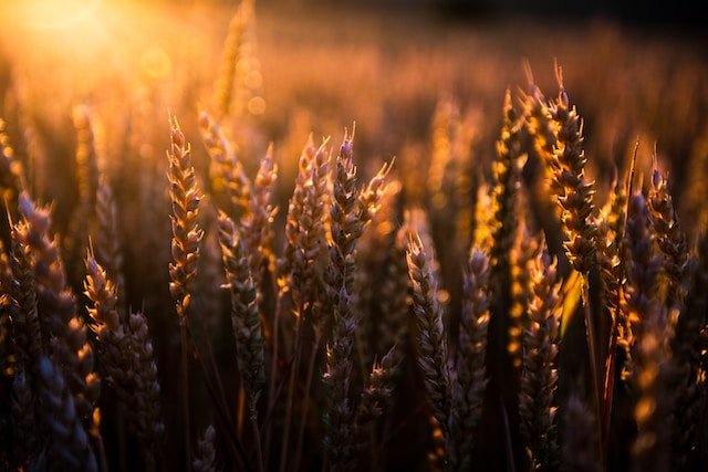 blog-header-image